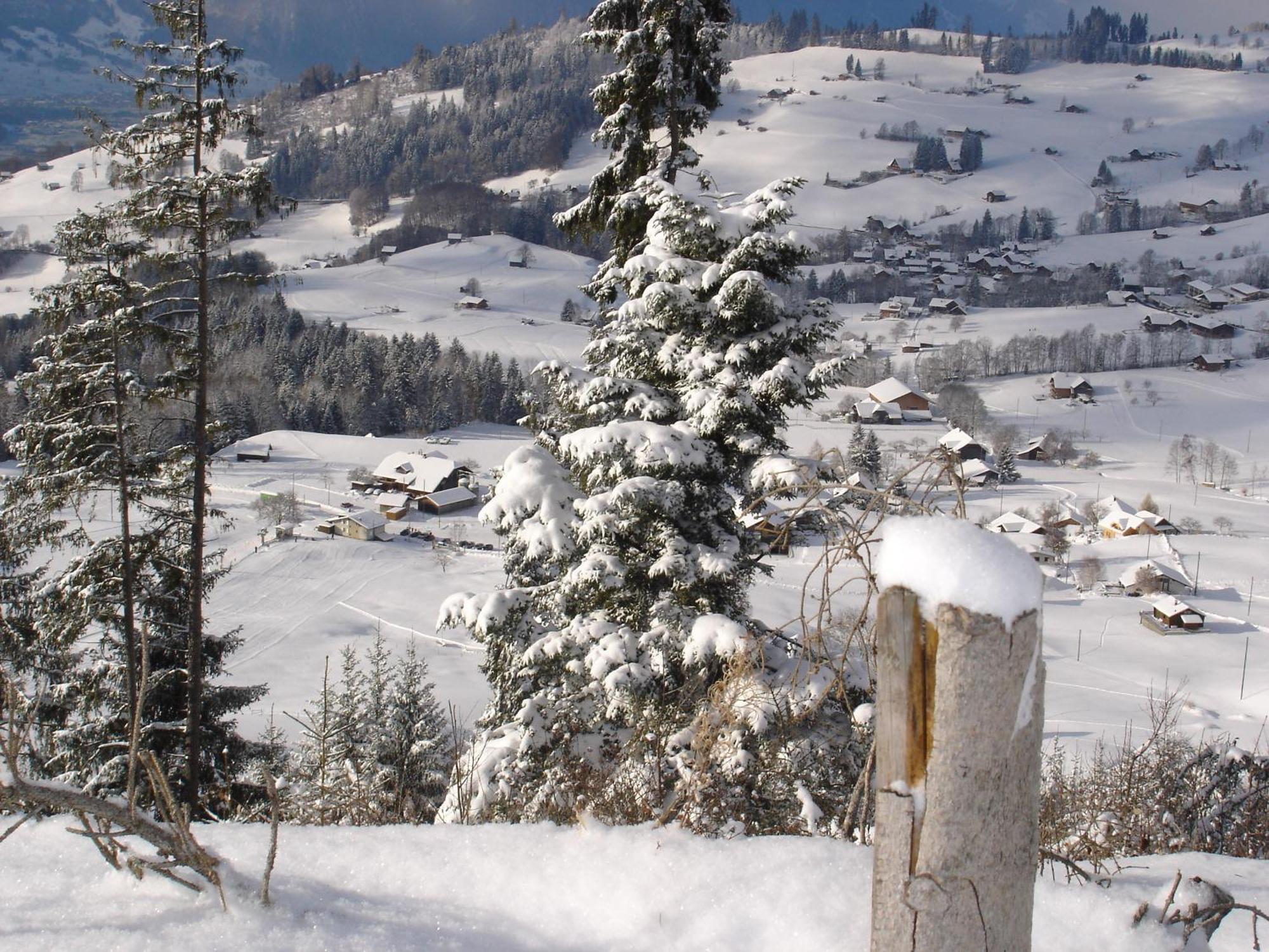Chalet Sunneschyn Schwanden  Extérieur photo